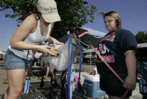 Kings Fair 2011
